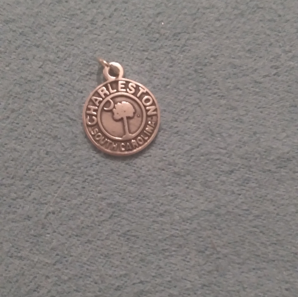 Charleston South Carolina charm